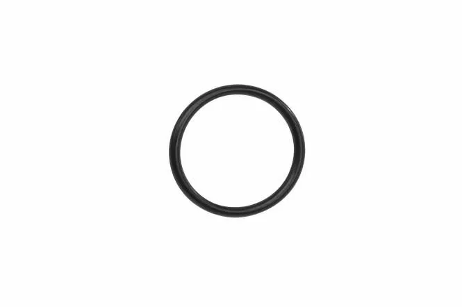 BOSCH O-Ring Gen3 Active Line & Active Line Plus 1 BOSCH O-Ring Gen3 Active Line & Active Line Plus