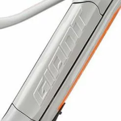 Giant/ Liv Side Panel Für EnergyPak 500 Wh Downtube Side Release Akku -E-Bike Zubehör Verkaufsladen giant side panel downtube akku grau neon orange