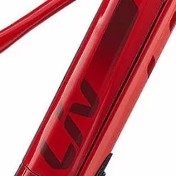 Giant/ Liv Side Panel Für EnergyPak 500 Wh Downtube Side Release Akku -E-Bike Zubehör Verkaufsladen giant side panel downtube akku rot 202 liv