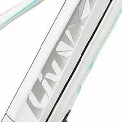 Giant/ Liv Side Panel Für EnergyPak 500 Wh Downtube Side Release Akku -E-Bike Zubehör Verkaufsladen giant side panel downtube akku weiss silber 2018