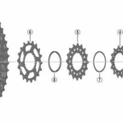 SHIMANO Ritzel Für 12-fach Kassetten XTR | XT | SLX | DEORE 10+12 Zähne